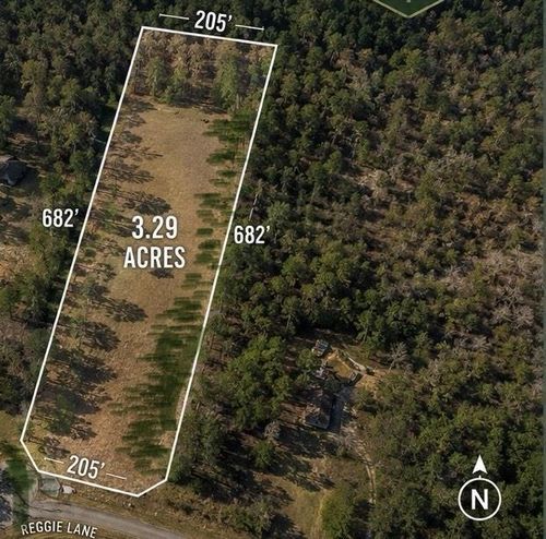 278 Reggie Ln, Trinity, TX, 75862-7129 | Card Image
