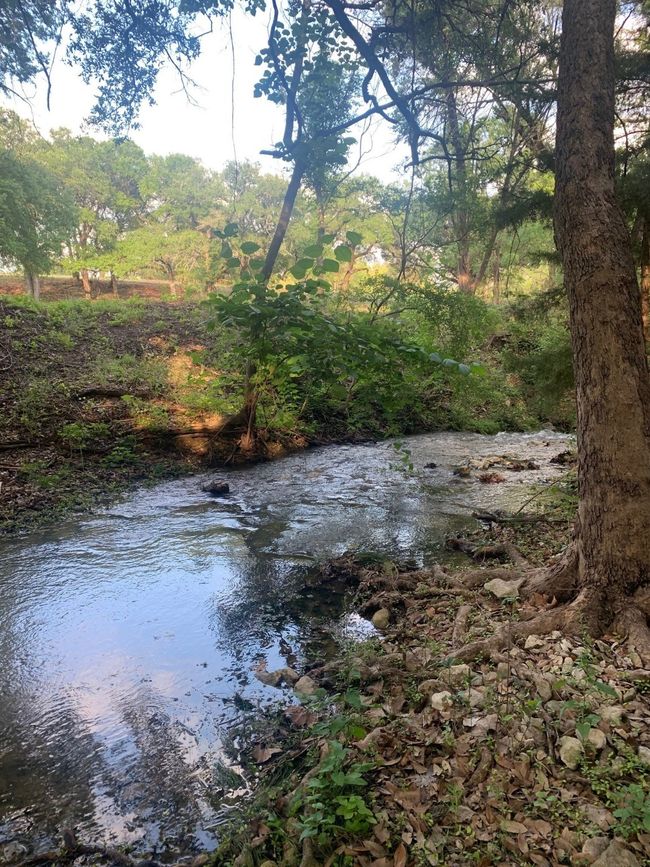 Creek | Image 39