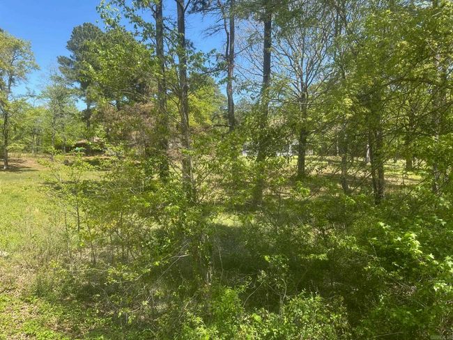 174 Joella Dr, House other with 3 bedrooms, 2 bathrooms and null parking in Pearcy AR | Image 12