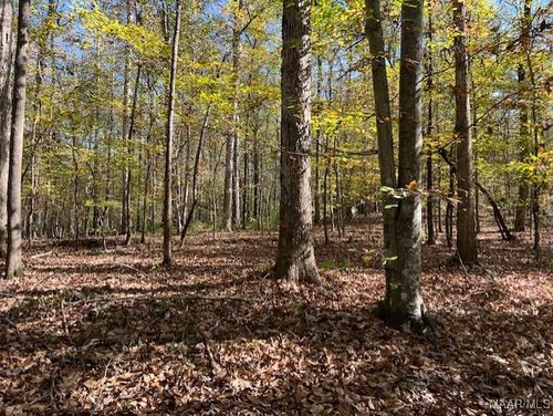 0 Dorough Rd, Columbiana, AL, 35051 | Card Image