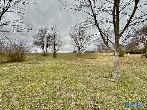 Lot 9 Line Rd, Toney, AL, 35773 | Card Image