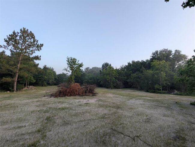 Large clearing looking west. | Image 12