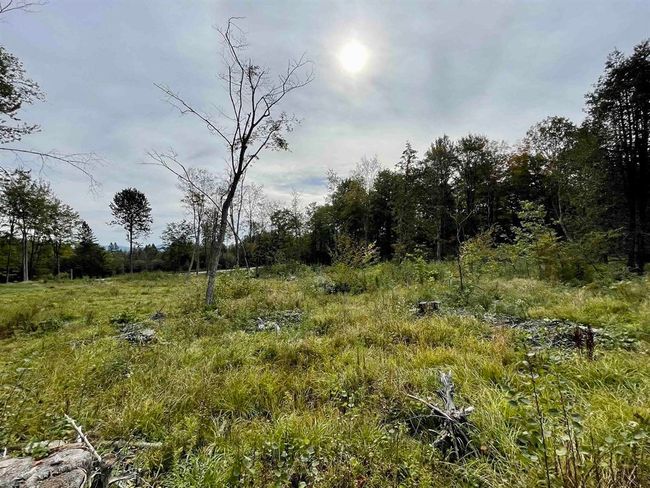 2209 Underpass Rd, Home with 0 bedrooms, 0 bathrooms and null parking in Sutton VT | Image 14