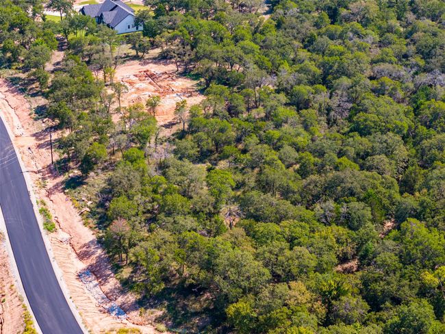Bird's eye view of a forest | Image 21