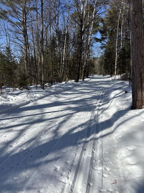 11349N Vasa Road, ROUND LAKE, WI, 54843 | Card Image