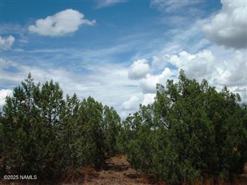 5043 N Park Ave, Williams, AZ, 86046 | Card Image