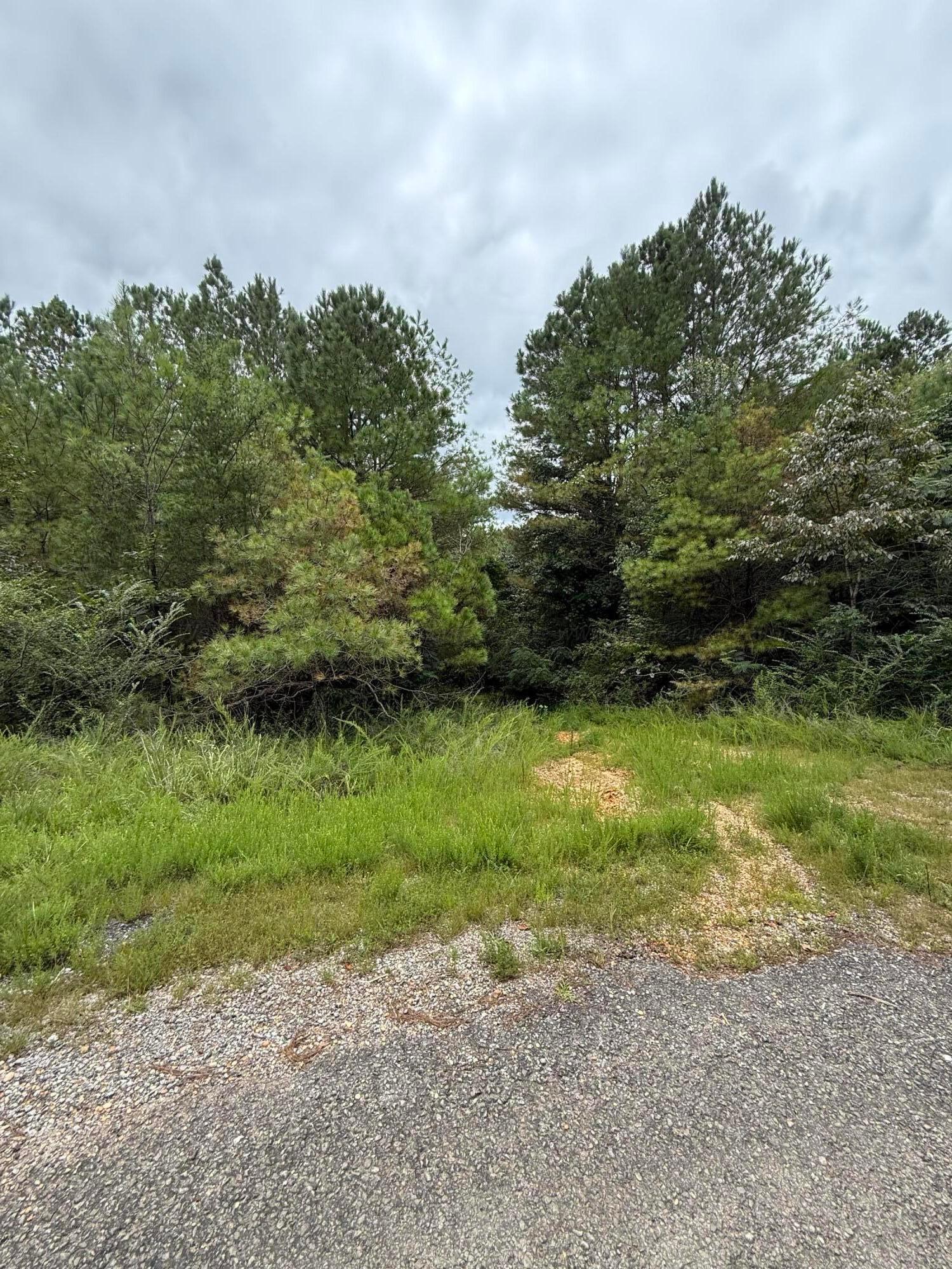 Land in Double Springs