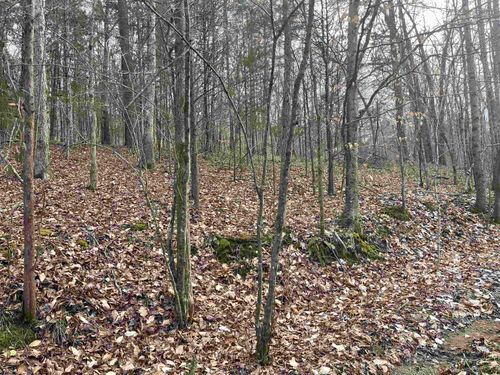 1265 N Burris Rd, Sharon, SC, 29742-5704 | Card Image