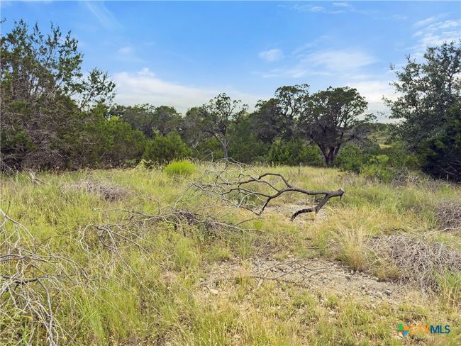128 Enigma Ave, Home with 0 bedrooms, 0 bathrooms and null parking in Spring Branch TX | Image 6