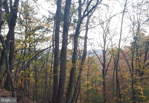 lot-30-0 Fairway Dr, BASYE, VA, 22810 | Card Image