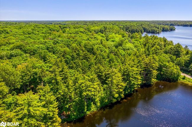 29 Bear Lake Rd, Home with 0 bedrooms, 0 bathrooms and null parking in Mactier ON | Image 4