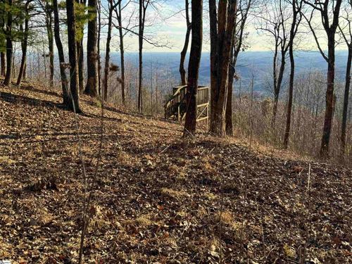 246 Bella Vista Ct, Zirconia, NC, 28790-0320 | Card Image