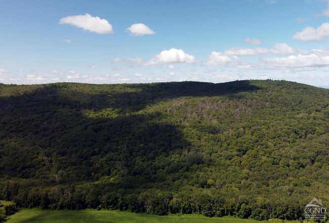 0 Cascade Mountain Rd, Home with 0 bedrooms, 0 bathrooms and null parking in Amenia NY | Image 16