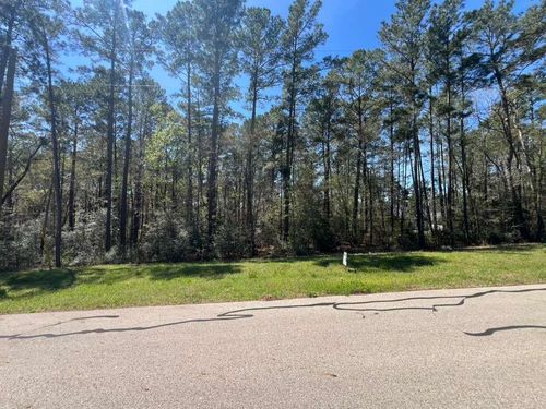 0 Sandpiper Dr, New Waverly, TX, 77358 | Card Image