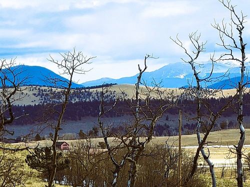 542 Thick Spike Rd, Fairplay, CO, 80440 | Card Image