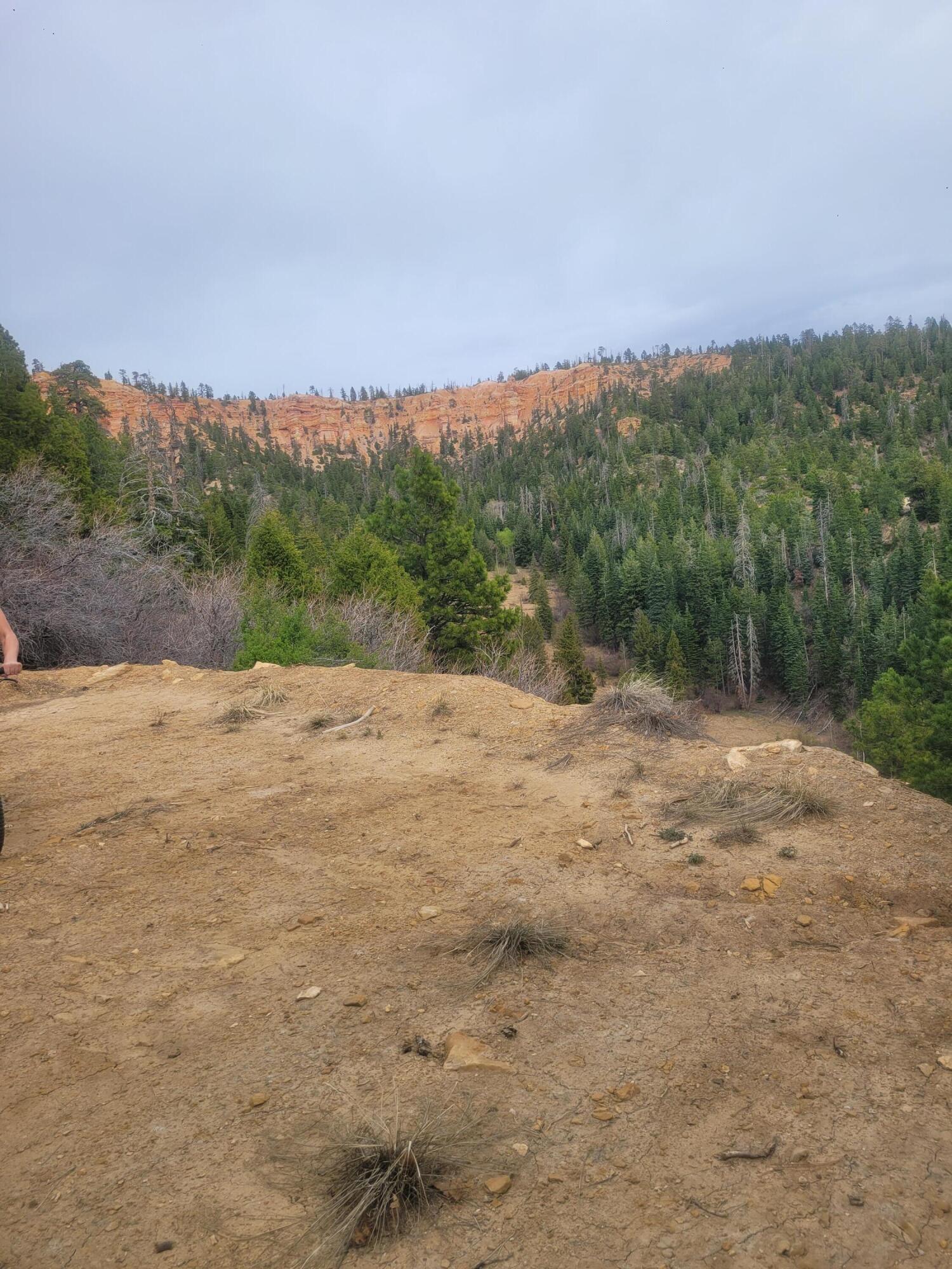 Land in Duck Creek Village 5
