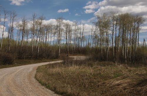 34 Roberts Rd, Etna, WY, 83118 | Card Image