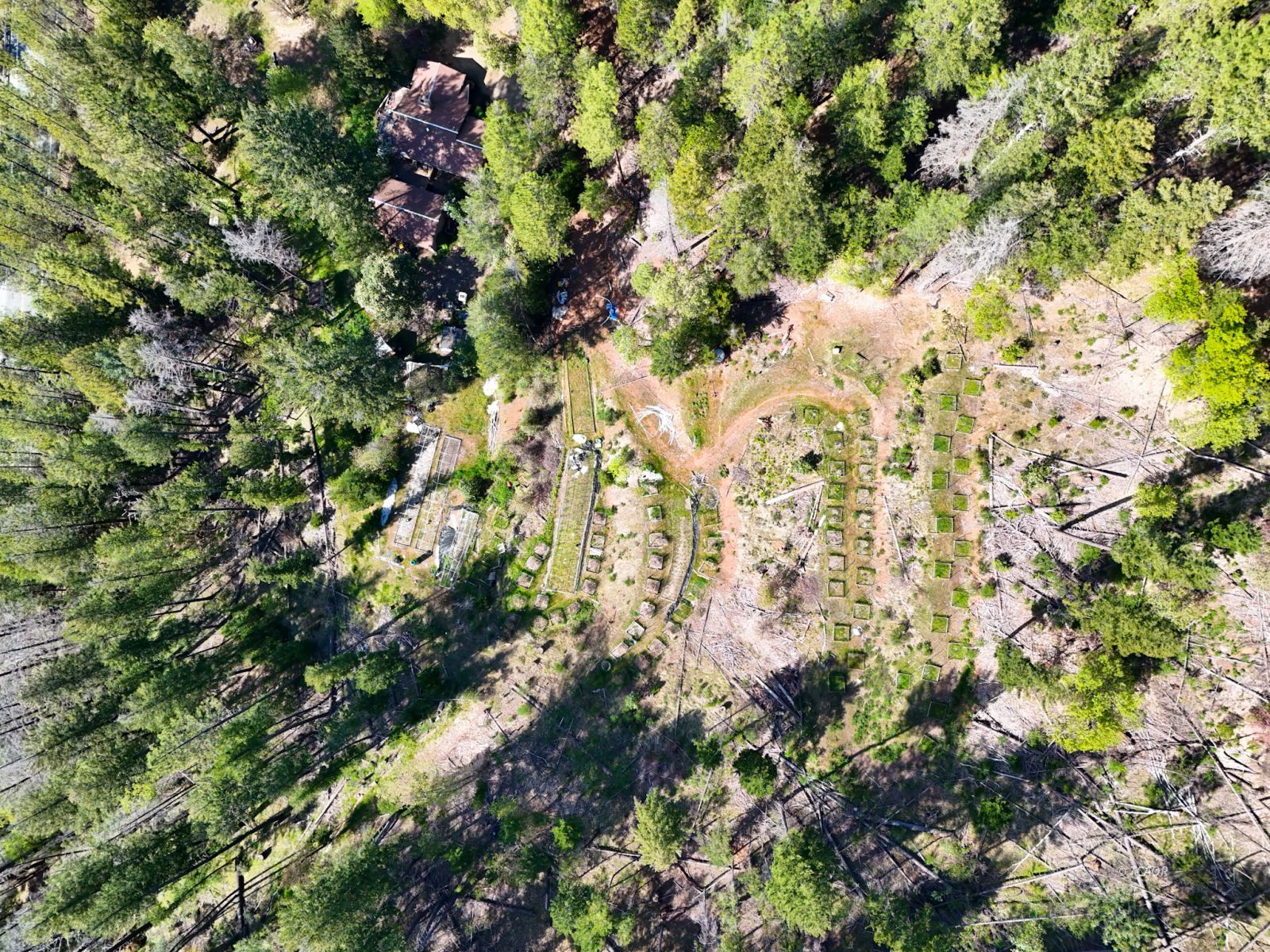 Land in Douglas City