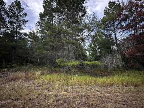 25 Fisher Run, Ocklawaha, FL, 32179-5836 | Card Image