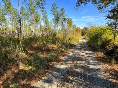 West corner of the tract on the road | Image 2