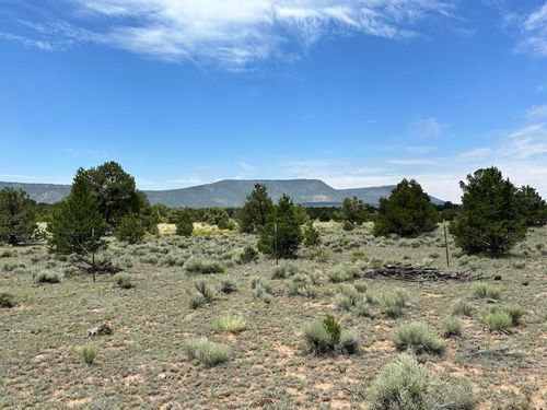 48 Hanging Tree Ranch Road, Quemado, NM, 87829 | Card Image