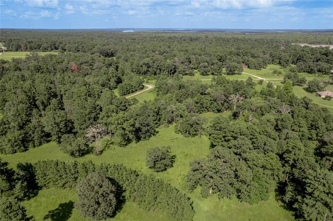 A lovely spot tucked off in the woods | Image 8