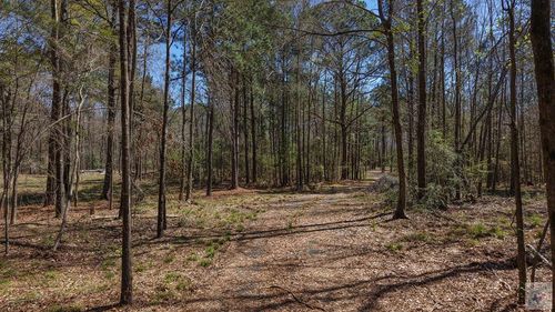 1618 Hwy 59, Linden, TX, 75563 | Card Image