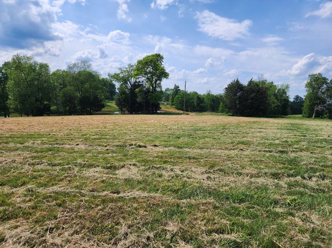 0 Wl White Ln, Home with 0 bedrooms, 0 bathrooms and null parking in Red Boiling Springs TN | Image 5