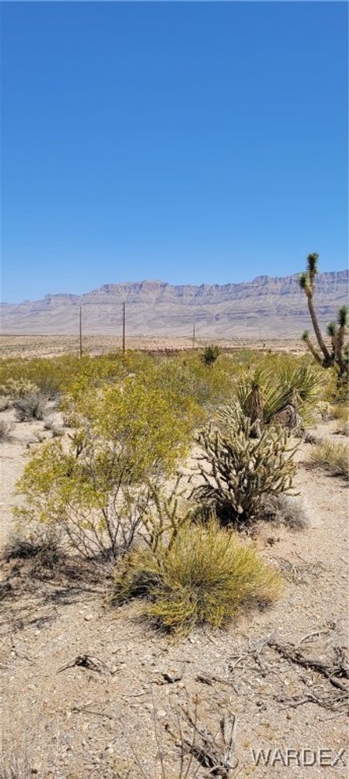 1205 Spencer Dr, Meadview, AZ, 86444 | Card Image