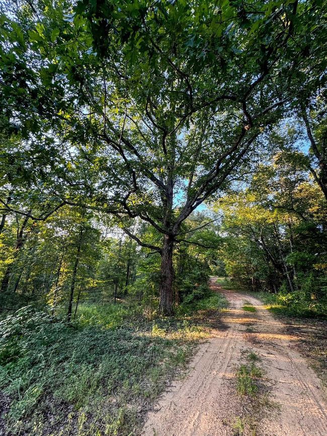 192 Sweet Gum Holw, Home with 0 bedrooms, 0 bathrooms and null parking in Rose Bud AR | Image 25