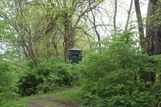 tree stand 1 | Image 19