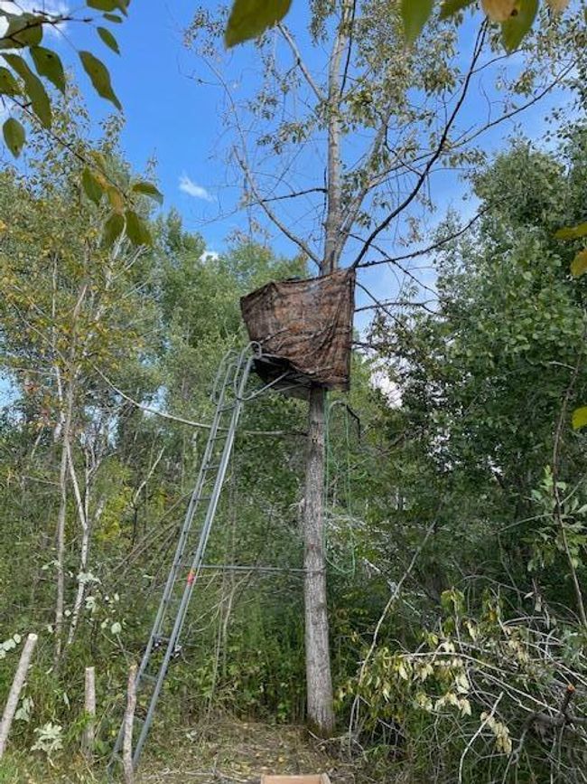 16466 220th Street McGrath deer stand 2.jpg | Image 28