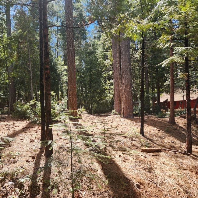 11254 Winding Way, Home with 0 bedrooms, 0 bathrooms and null parking in Clipper Mills CA | Image 18