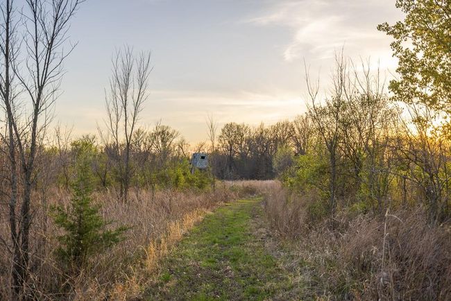 14310 E State Route A, House other with 3 bedrooms, 3 bathrooms and null parking in Archie MO | Image 76
