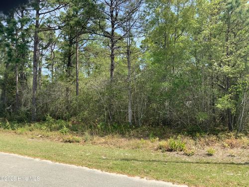 1434 Mockingbird Pl Sw, Shallotte, NC, 28470 | Card Image