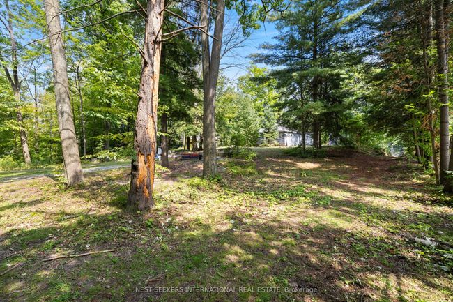 87 Sibbald Cres, House other with 2 bedrooms, 1 bathrooms and 2 parking in Sutton West ON | Image 7