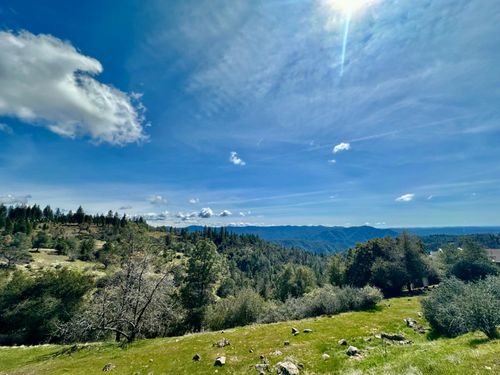 1146 Buckthorn Dr, Murphys, CA, 95247-9442 | Card Image