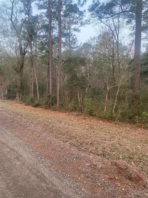 TBD Hill Creek Dr, Coldspring, TX, 77331 | Card Image