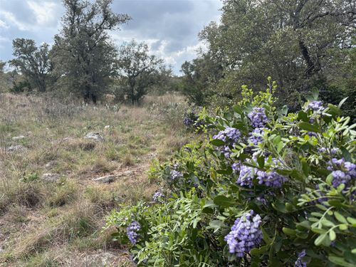 Lot 34 Eagle Feather, Kingsland, TX, 78639 | Card Image