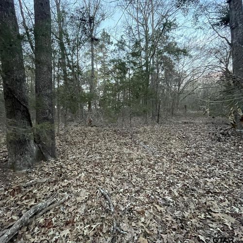 TBD County Road 2182, Whitehouse, TX, 75791 | Card Image