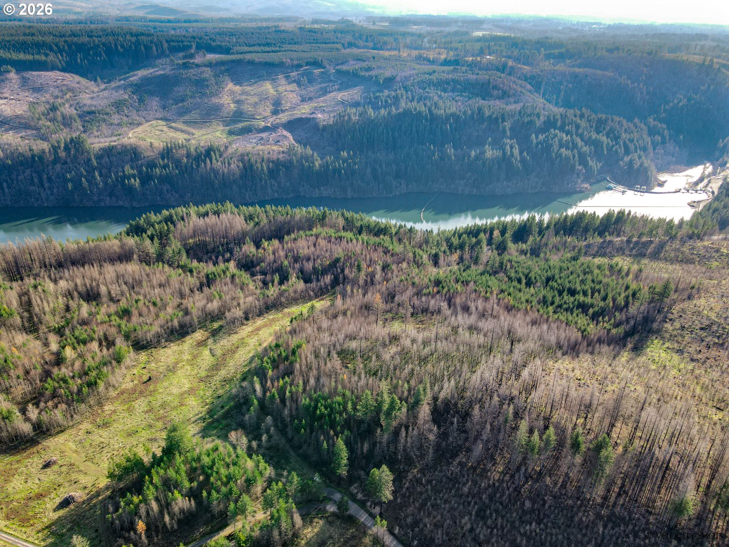 Land in Estacada 5