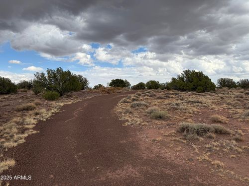 877-878-3875 Apache Rd, Snowflake, AZ, 85937-6544 | Card Image