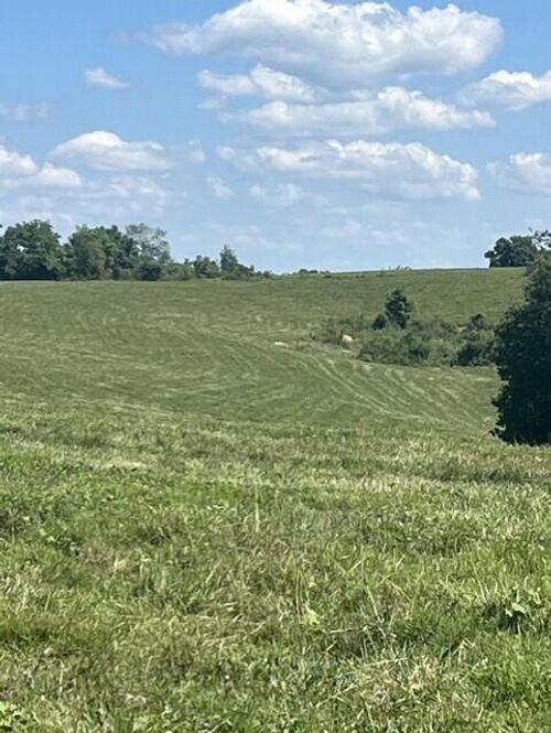 1699 Gillispie Road, Paris, KY, 40361 | Card Image