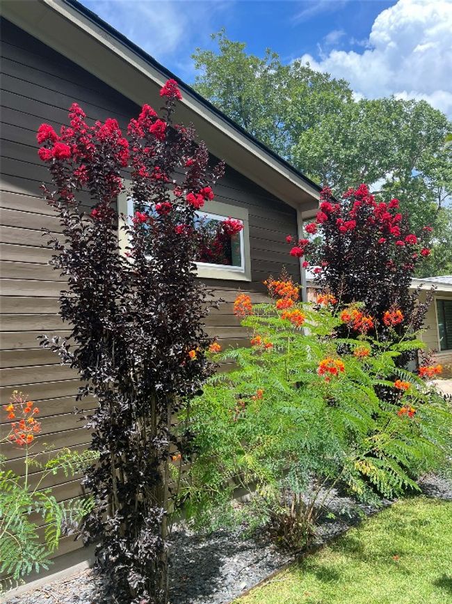 1812 Aggie Ln, House other with 4 bedrooms, 3 bathrooms and 6 parking in Austin TX | Image 29