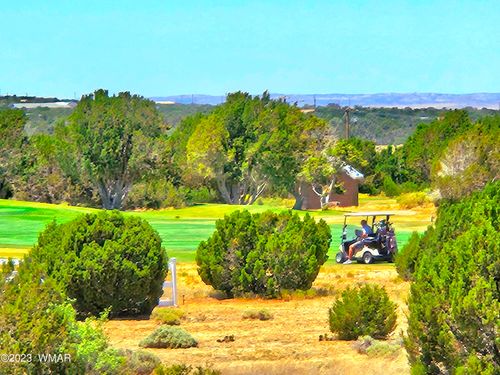 1950 Creekside Cir, Show Low, AZ, 85901-8107 | Card Image