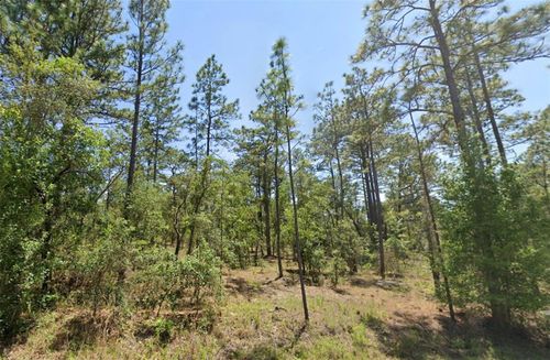 00 Nw Shamrock Ave, Dunnellon, FL, 34431 | Card Image