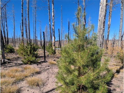 1708 Burgoyn Loop, Fort Garland, CO, 81133-9760 | Card Image