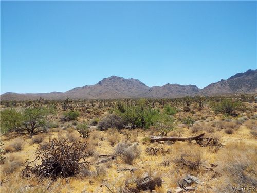 0000 N Palo Alto Dr, Dolan Springs, AZ, 86441 | Card Image