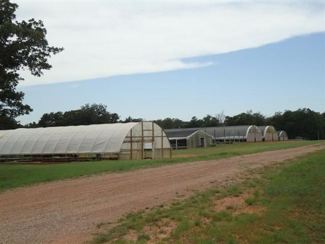 Nursery potential. | Image 43