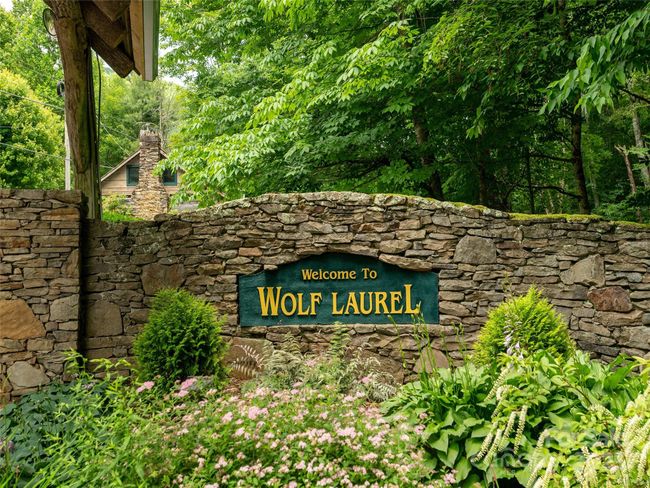 203 - 000 Mcdaris Loop, Home with 0 bedrooms, 0 bathrooms and null parking in Mars Hill NC | Image 15
